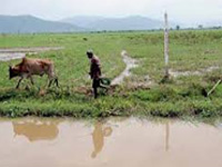 Draft national policy on wetlands opposed