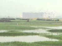 Wetland status: Govt officials inspect Basai, report on Dec 7