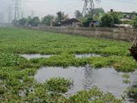 NGT halts eco-park work in Surajpur wetlands