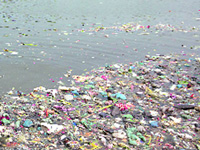 Cops don't know how to book Yamuna dumpers