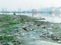 Yamuna Nurseries: NGT summons 38 after they refuse to accept