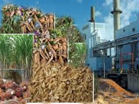 Govt plans to boost setting up of biomass power plants