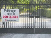 Delhi zoo shut over bird flu scare