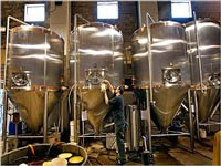Green Tribunal directs closure of illegally run Tangi brewery