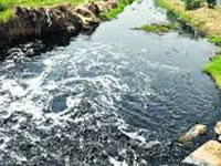 Action group formed in Faridkot to check canal water toxicity