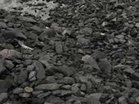 A year after e-auction, coal mining stays in slow lane