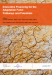Innovative financing for the adaptation fund: pathways and potentials