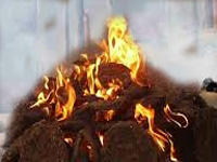 Burning of cow dung cakes near Taj Mahal banned