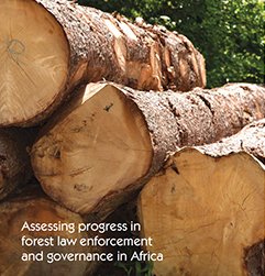 Assessing progress in forest law enforcement and governance in Africa