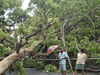 Deforestation hits monsoon rains, says study