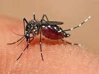 Health Dept educates people on preventing dengue