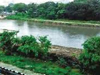 Mantri told to pay Rs. 5 lakh environmental compensation