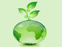 Non-utilisation of green cess fund in Maharashtra: CAG