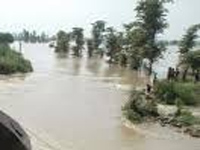 UP flood: toll rises up to 75