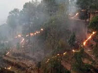 Uttarakhand forest fires man-made: Javadekar