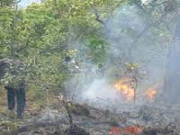 Forest fires return to haunt U’khand, Varunavat Parvat in Uttarkashi ablaze