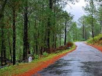 To protect green cover, forest dept plans boundary walls along highways
