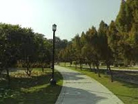 HC stays felling of 8000 trees for Lohia Botanical Garden