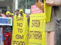 GM Mustard will have serious health & environmental impact: