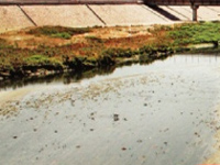 Hope for Gomti fades as tributaries dry up
