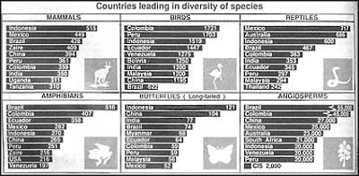 Biodiversity under threat worldwide