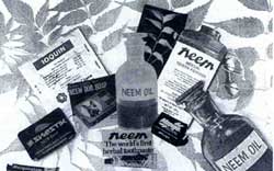 Neem based products