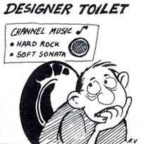 Designer toilets