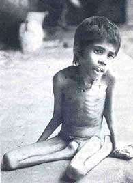 Famines in India are a nightmare of the past
