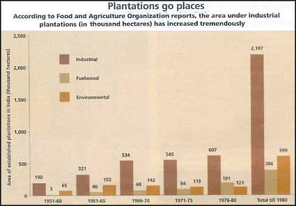 Plantations go places