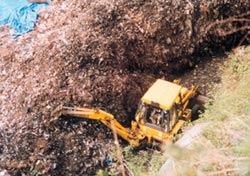 Waste management site turns into garbage dump 