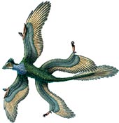 Dinosaurs with wings