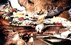 Lascaux caves threatened by microbes