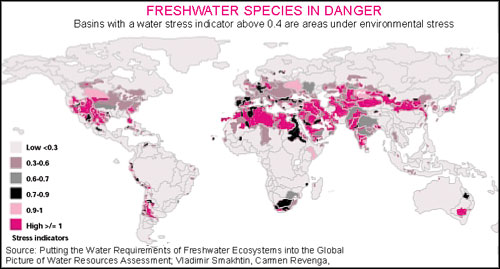 Freshwater species in danger