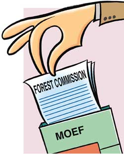 Forest commission report on forest rights bill validates government`s stand