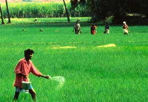 India`s fertiliser subsidy policy favours the industry