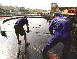 Cleanup of oil spill begins in Lebanon