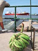 EU blocks WTO probe into banana import tariffs