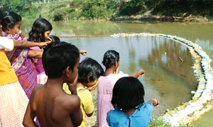 Delayed report on Tripura toxic spill