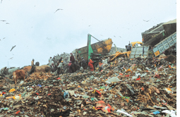 SC agrees to subsidise five waste to energy plants