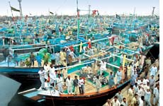 Pak loses $30 million after EU ban on export of seafood