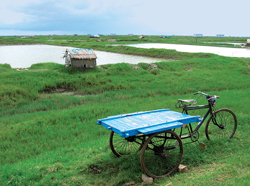 West Bengal proposes alternative site for Nandigram chemical hub  