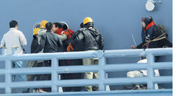 Japanese whalers free activists, chase continues  