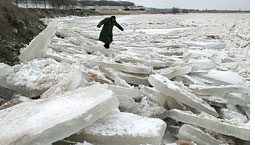 Thawing ice triggers Yellow River flood  