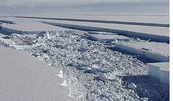 Antarctic ice shelf collapses  