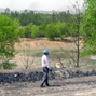 Centre stops mining near Tadoba