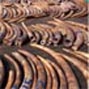 Forensic tools battle ivory poachers