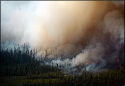 Climate change, human activity and wildfires