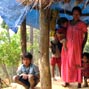 From shifting cultivation to sustainable livelihood creation: strengthening marginalised communities