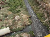 NGT pulls up UP, U'khand on river pollution
