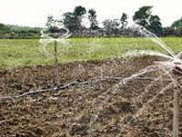 Govt to adopt Guj model of irrigation